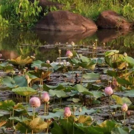Fandee Island Tad Lo - ດອນຝັນດີ Villa Ban Kiangtat Buitenkant foto