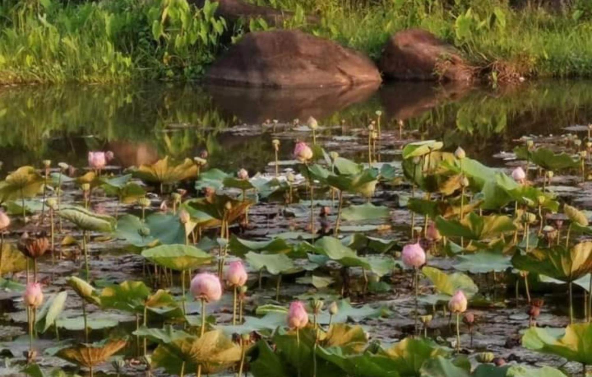 Fandee Island Tad Lo - ດອນຝັນດີ Villa Ban Kiangtat Buitenkant foto