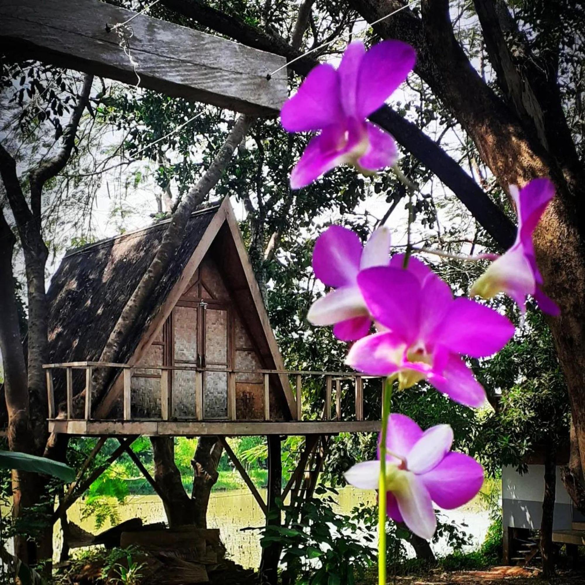 Fandee Island Tad Lo - ດອນຝັນດີ Villa Ban Kiangtat Buitenkant foto
