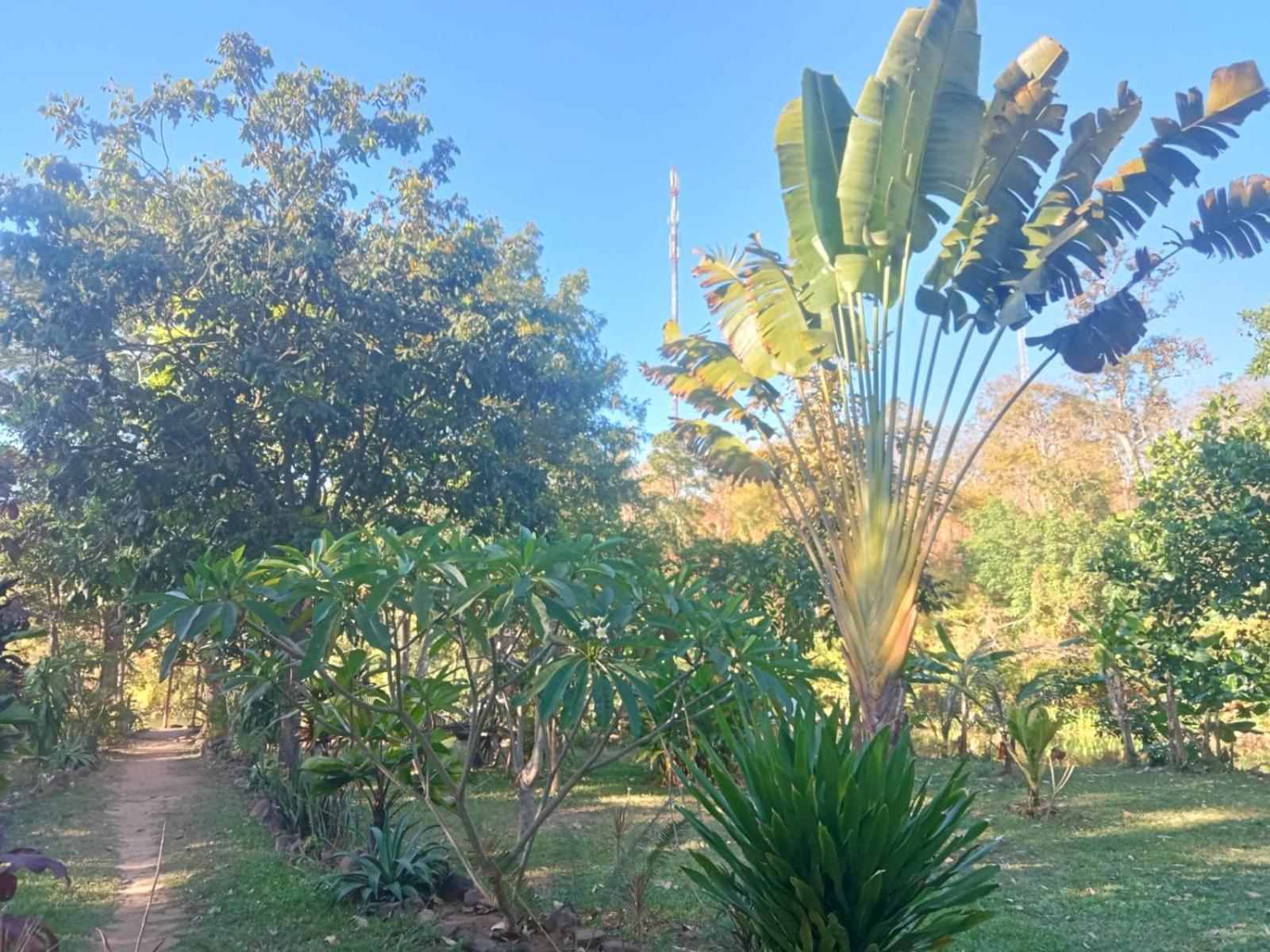 Fandee Island Tad Lo - ດອນຝັນດີ Villa Ban Kiangtat Buitenkant foto